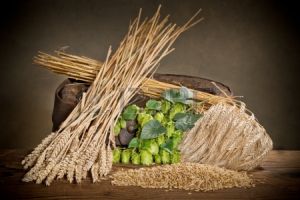 Сырье для производства пива